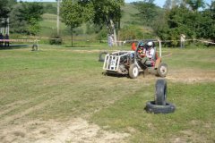 DSCF1264