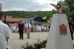 koszoruzas07_0117