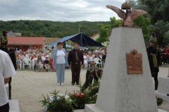 koszoruzas07_0122