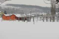 kereki_2010_tel051
