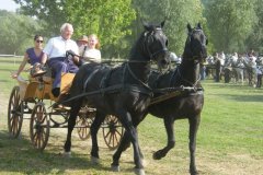 DSCF1778
