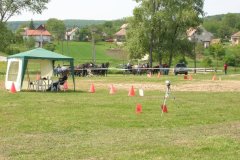 DSCN0019