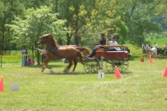 DSCN0028