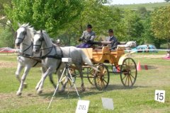 DSCN0029