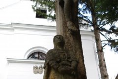 IMGP2950
