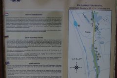 IMGP2964