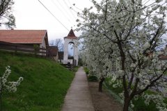IMGP2979