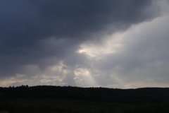 IMGP2986