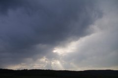 IMGP2990