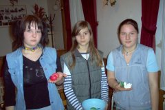 tojasfestes005