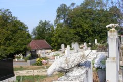 temeto_11